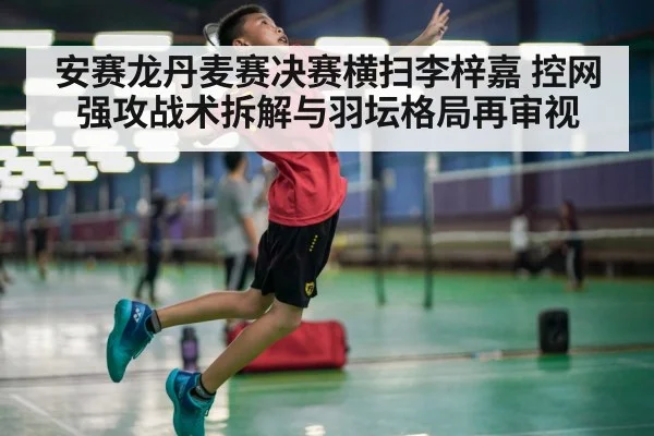 安赛龙丹麦赛决赛横扫李梓嘉 控网强攻战术拆解与羽坛格局再审视